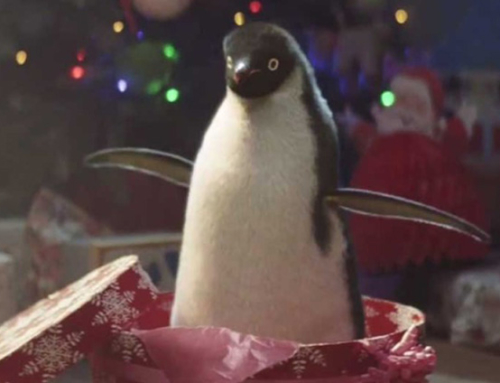 How well do you know this year’s Christmas adverts?